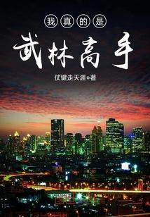 我真的是武林高手TXT