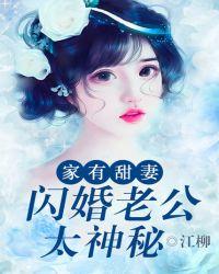 家有甜妻闪婚老公太神秘txt