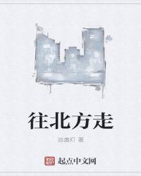 往北方走的英语
