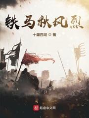 铁马秋风集读书心得