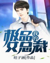 我的极品女总裁 淼星