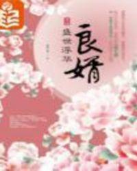 良婿txt