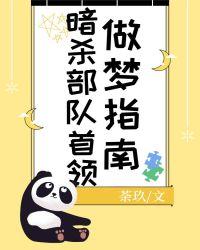 暗杀部队首领做梦指南111