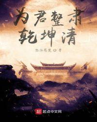 为君整肃乾坤清txt