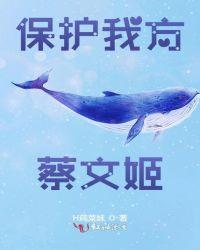 澜为什么要保护蔡文姬