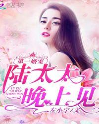 陆先生第一宠婚