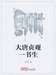 大唐贞观一书生txt八零