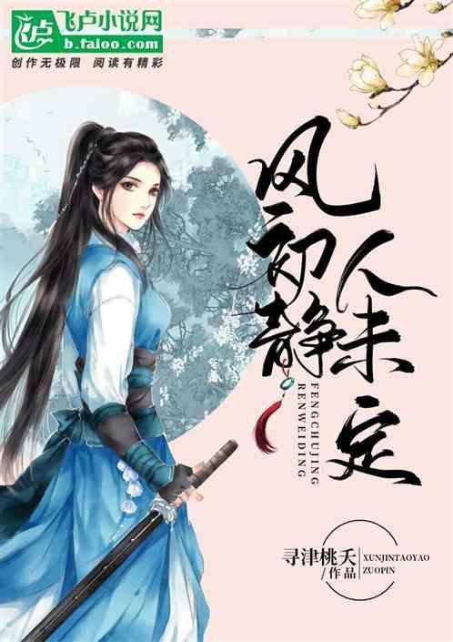 风不定人初静全诗