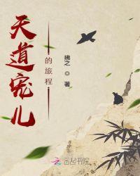 天道宠儿的旅程拂之