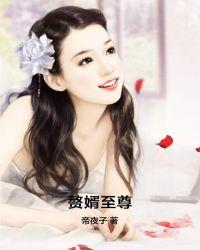 赘婿至尊魔帝