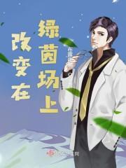 绿茵场上的足球少年