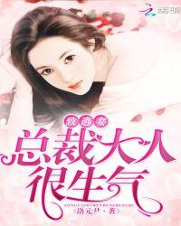 致逃妻总裁大人很生气