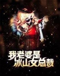 我老婆是冰山女总裁沈浪更新到多少章了