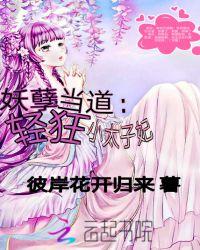 妖孽当道轻狂小太子妃笔趣阁