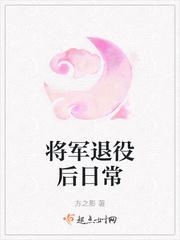 将军退役后干什么