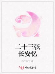二十三弦系列