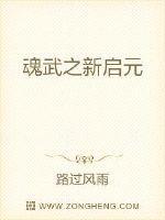 魂武 攻略