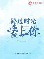 路过时光爱上你歌词
