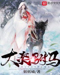 大炎驸马起点
