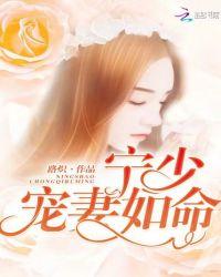 宁少宠妻上瘾免费阅读妻成