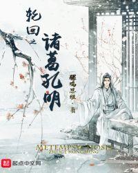 来者可是诸葛孔明?