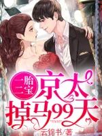 一胎二宝京太掉马99天电视剧免费观看完整版