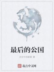 最后的公国txt