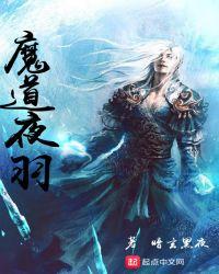 魔道祖师将夜