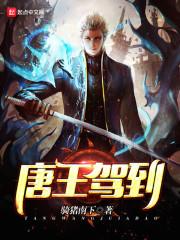 唐王驾到迷底是什么?
