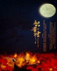 韶华烬白芷玥全文免费阅读