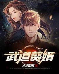 武道赘婿盗版