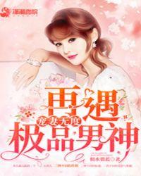 宠妻无度什么意思啊