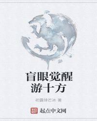 盲眼 攻略
