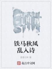 铁马秋风大散关全诗拼音