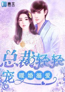 女主辛晴男主赢擎苍