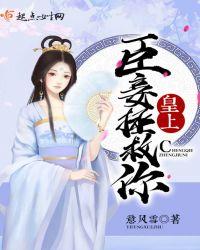 皇上臣妾知罪了