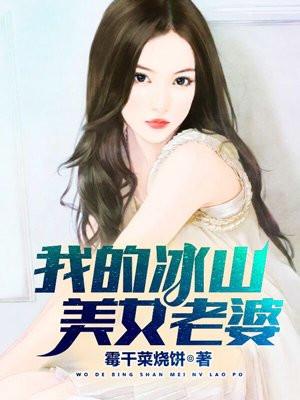 我的冰山美女老婆笔趣阁