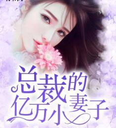 总裁的亿万小妻子无弹幕