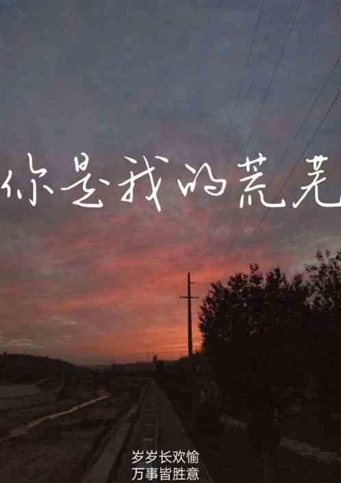 你是我荒芜土地上最热烈的玫瑰