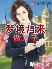 梦境归来做才子无防盗
