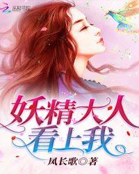 王国之泪妖精大人