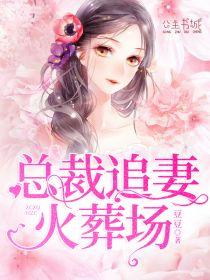 总裁追妻火葬场免费阅读