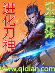 刀修化神选哪个神魂