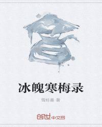 寒梅老师课录