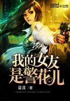 撩妻成瘾先生别过分林明曦季宴臣 俞南风