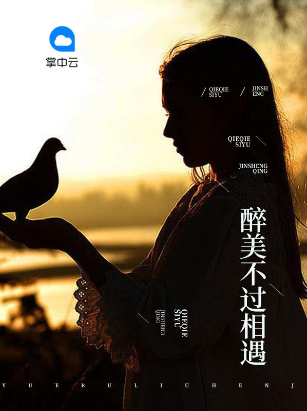 醉美不过相遇全文阅读