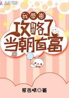 我带崽攻略了当朝首富txt