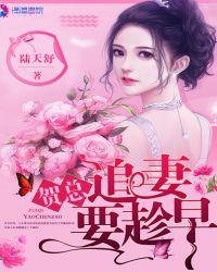 贺总追妻要趁早 TXT