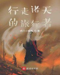 行走诸天的旅行者噜啦啦