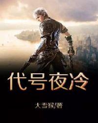 代号夜冷正版